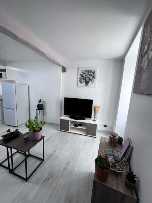 Charmante Maison Renovee Nérac Exteriör bild