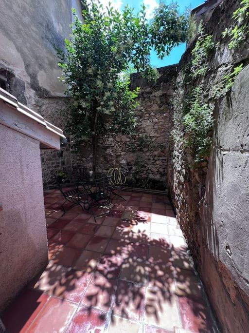 Charmante Maison Renovee Nérac Exteriör bild